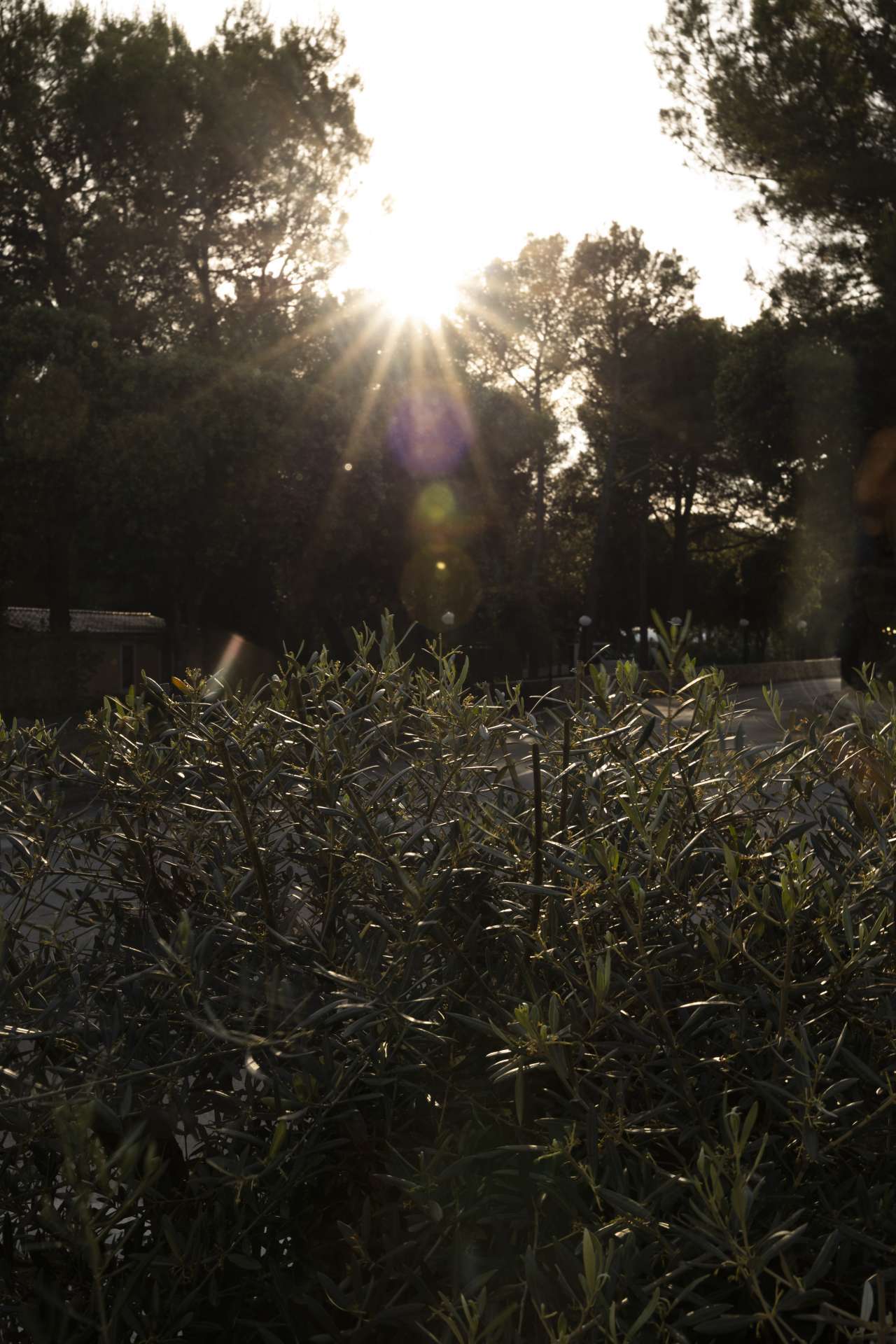 Our Story & Gallery - 